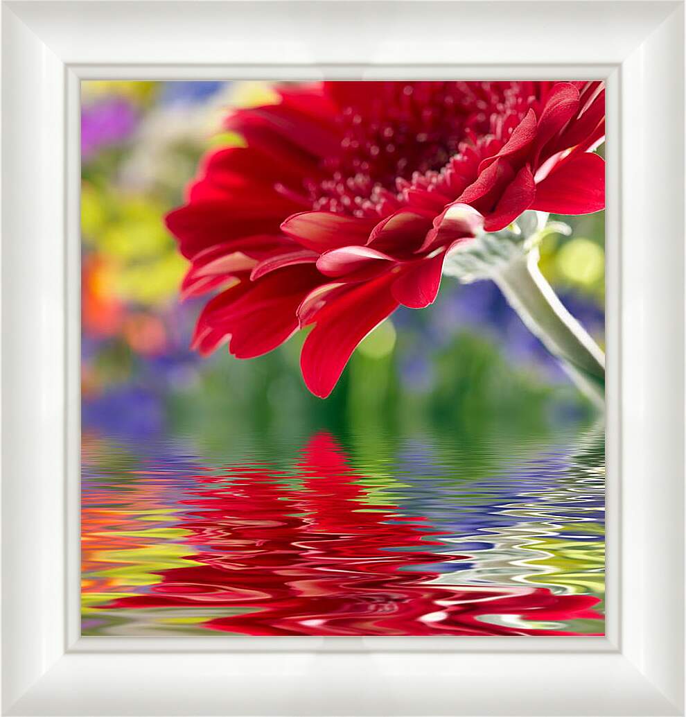 Картина в раме - Отражение цветка
