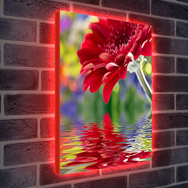 Лайтбокс световая панель - Отражение цветка
