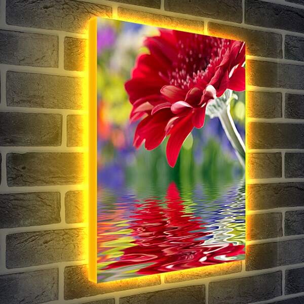 Лайтбокс световая панель - Отражение цветка
