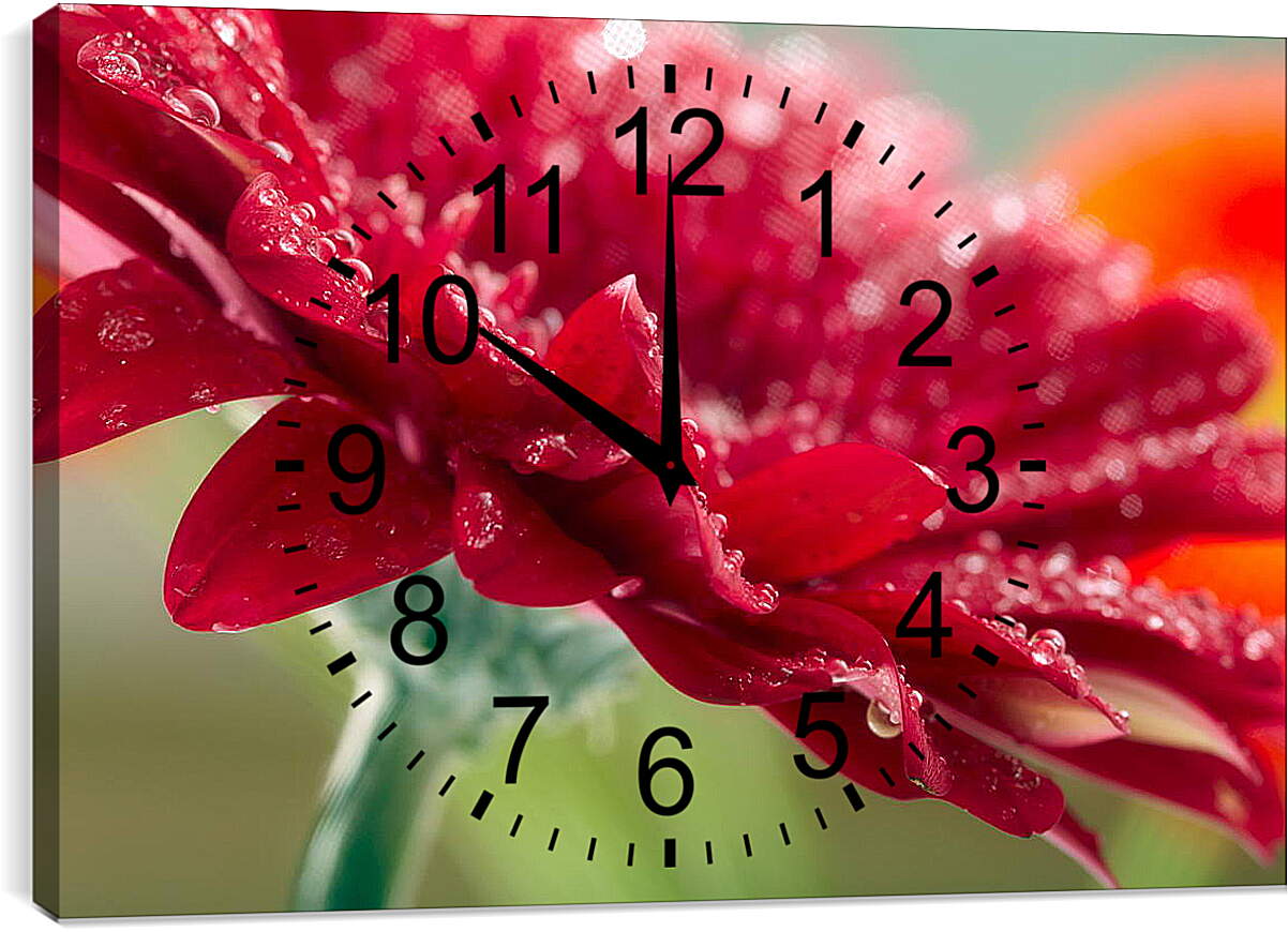 Часы картина - Красный цветок в каплях россы
