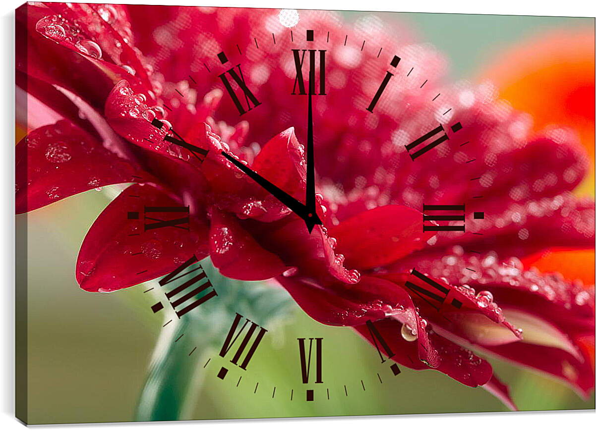 Часы картина - Красный цветок в каплях россы
