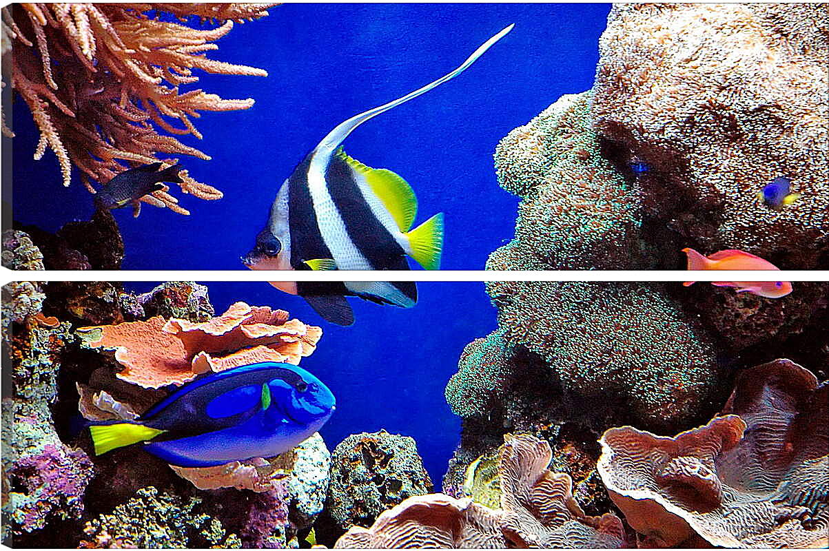 Модульная картина - Рыбы в кораллах
