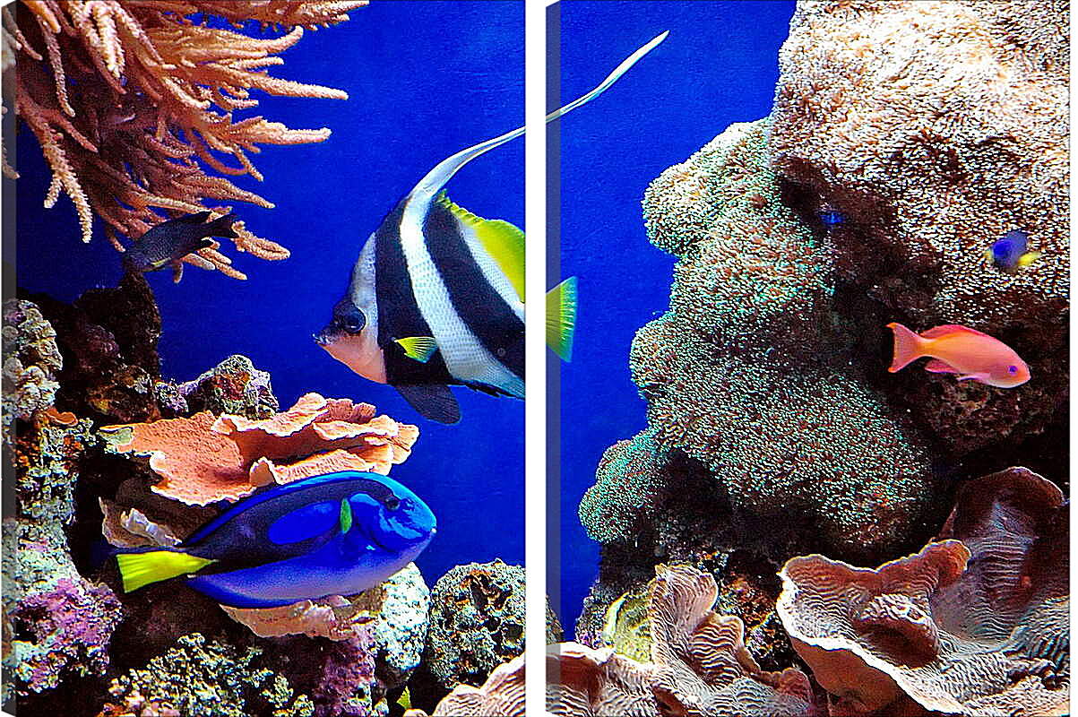 Модульная картина - Рыбы в кораллах
