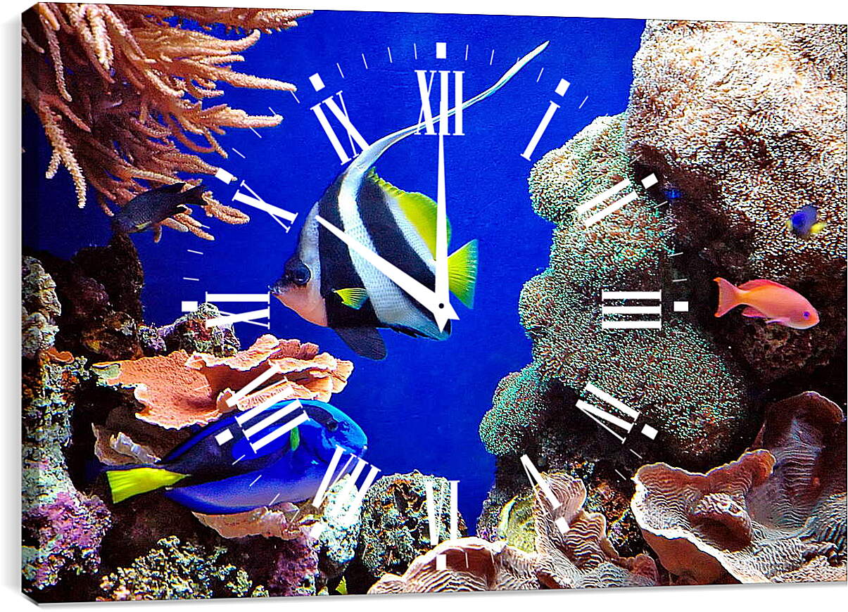 Часы картина - Рыбы в кораллах
