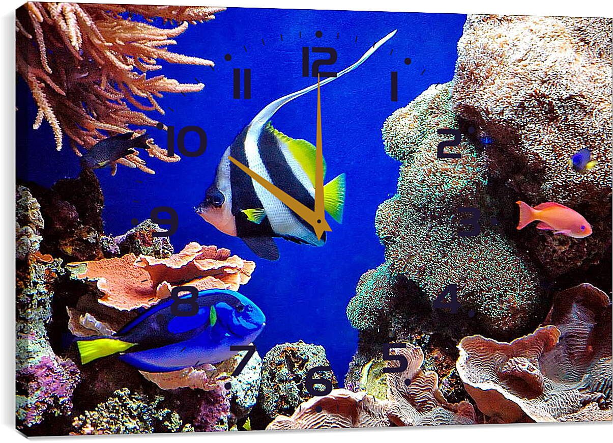 Часы картина - Рыбы в кораллах
