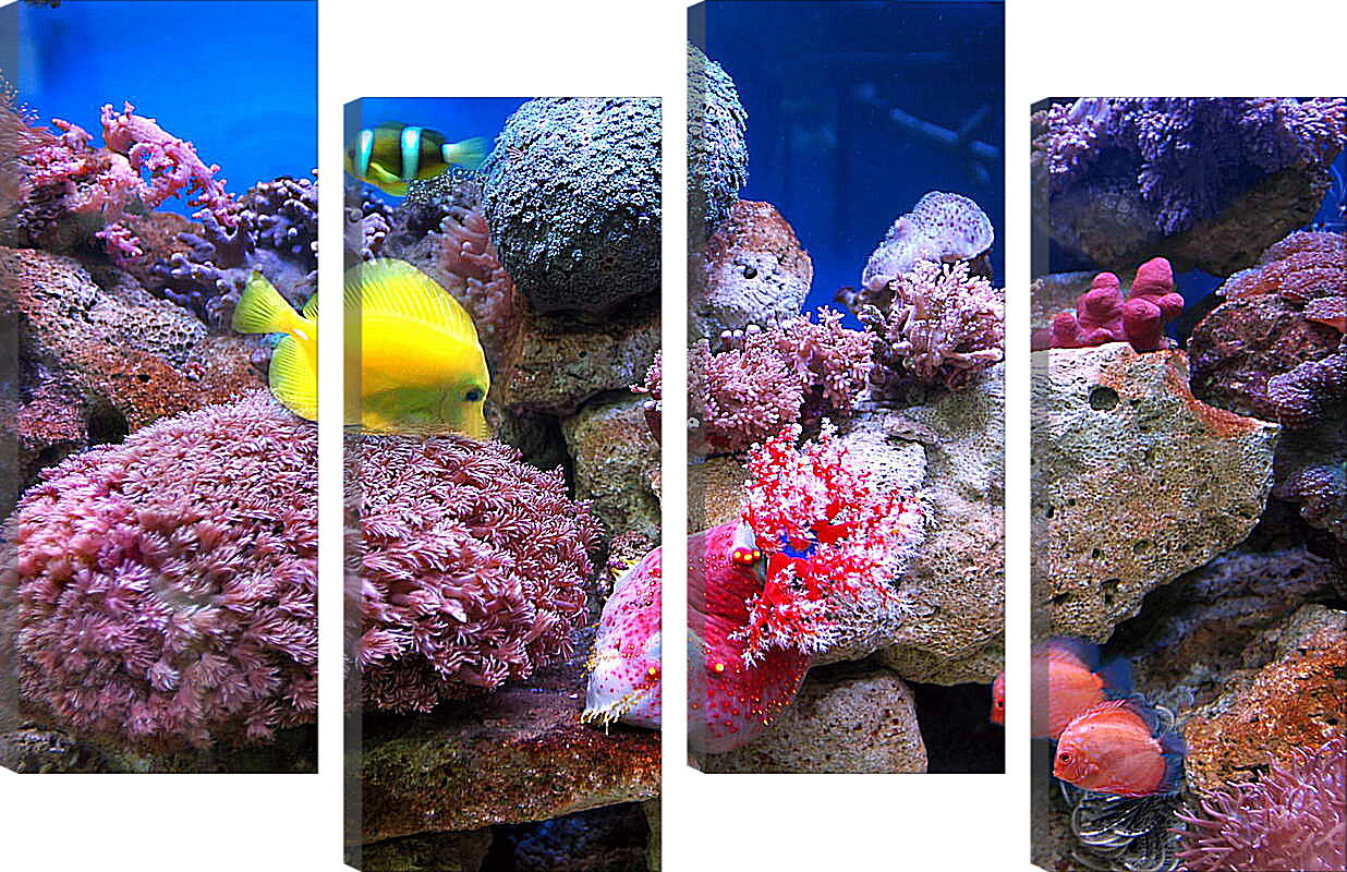 Модульная картина - Желтая рыба в кораллах
