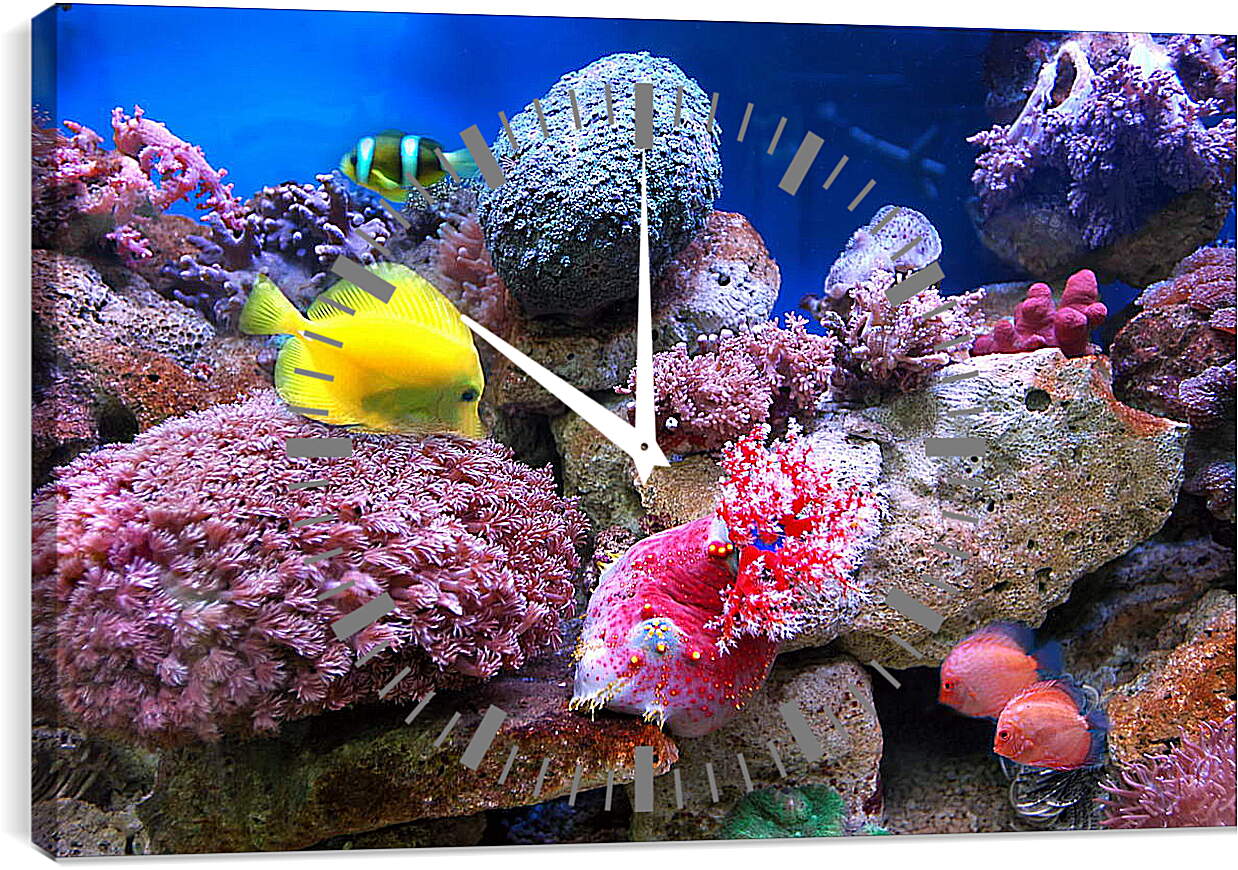 Часы картина - Желтая рыба в кораллах
