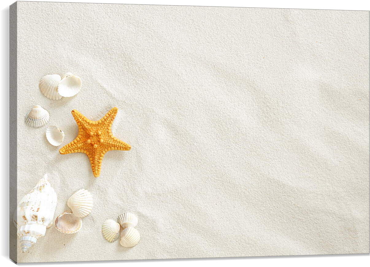 Постер и плакат - Ракушки и звезда на песке
