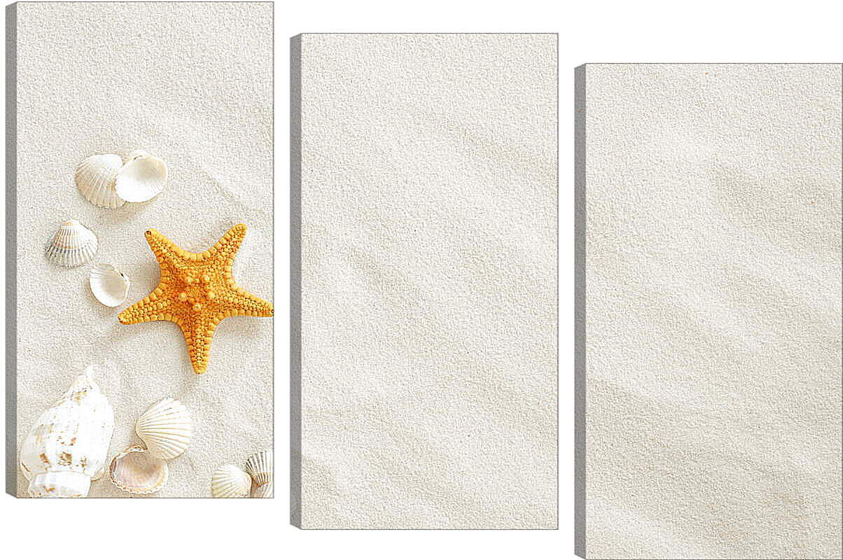 Модульная картина - Ракушки и звезда на песке
