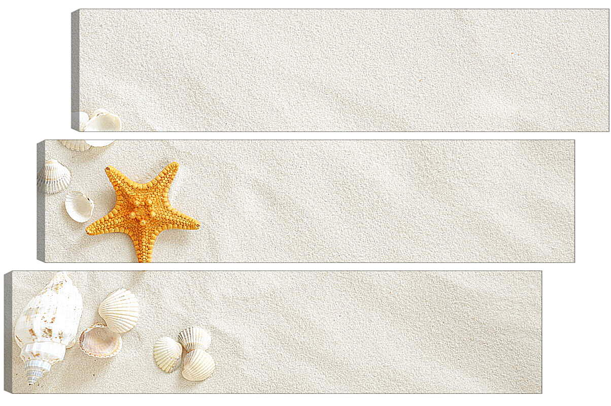 Модульная картина - Ракушки и звезда на песке
