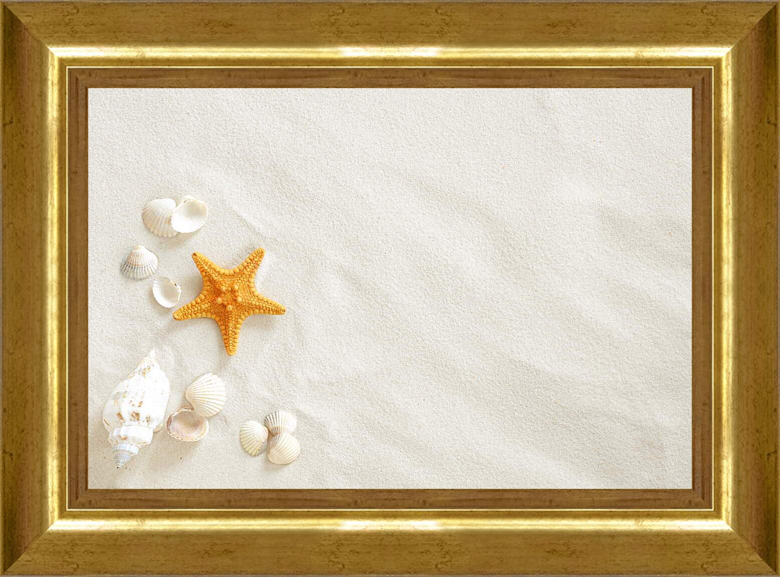 Картина в раме - Ракушки и звезда на песке

