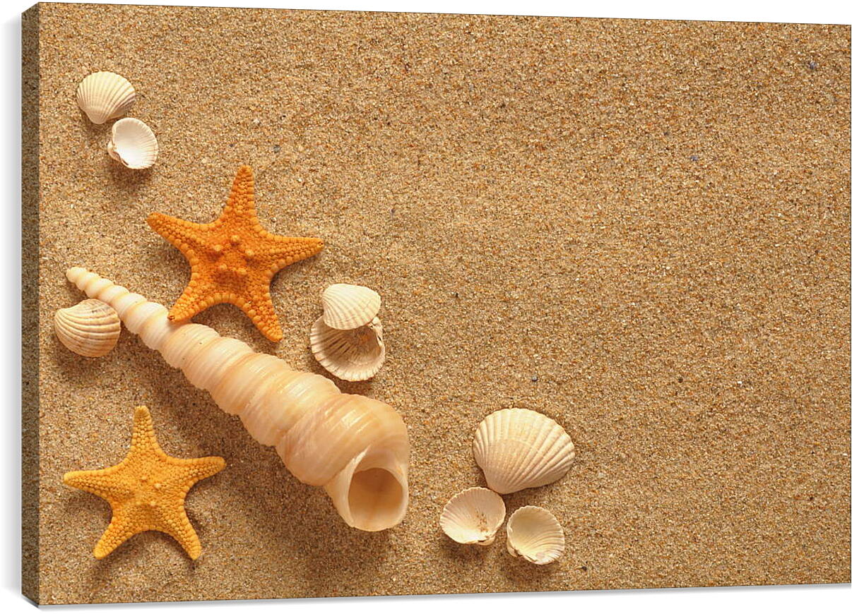 Постер и плакат - Ракушки и звезды на песке
