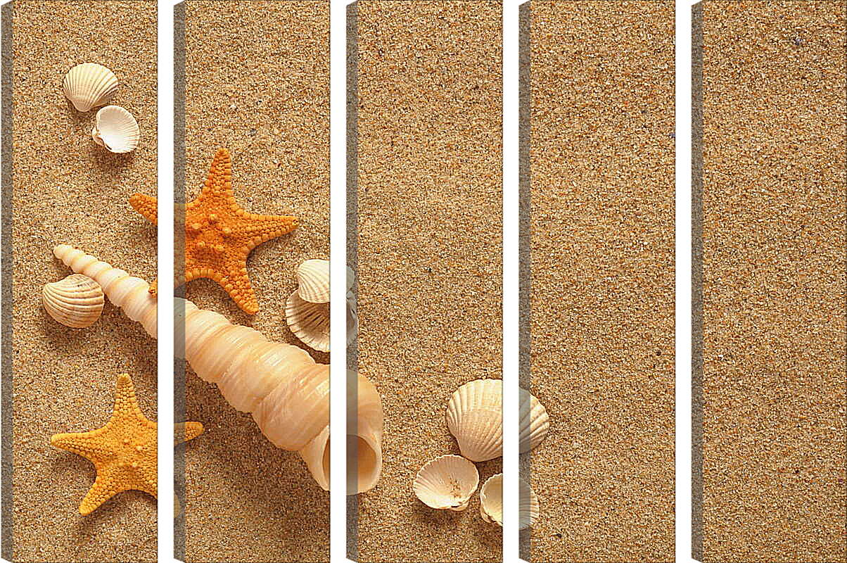 Модульная картина - Ракушки и звезды на песке
