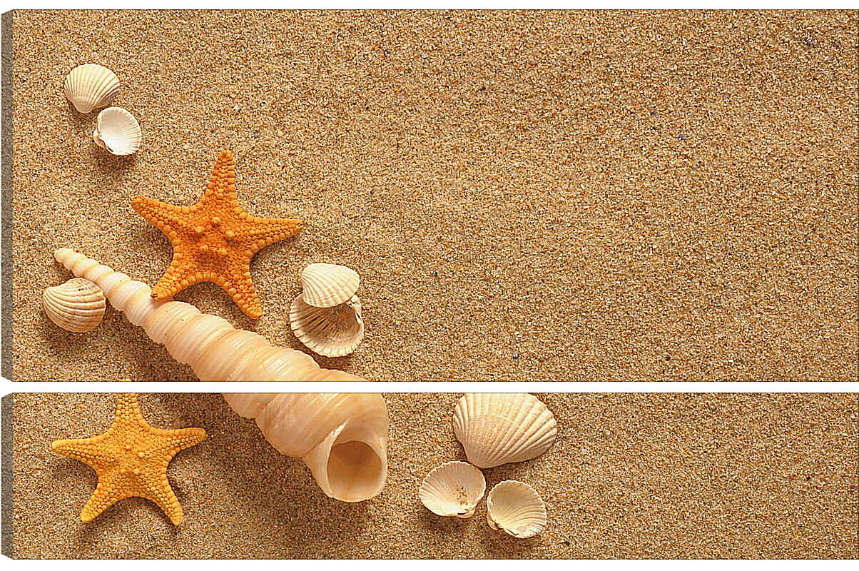 Модульная картина - Ракушки и звезды на песке
