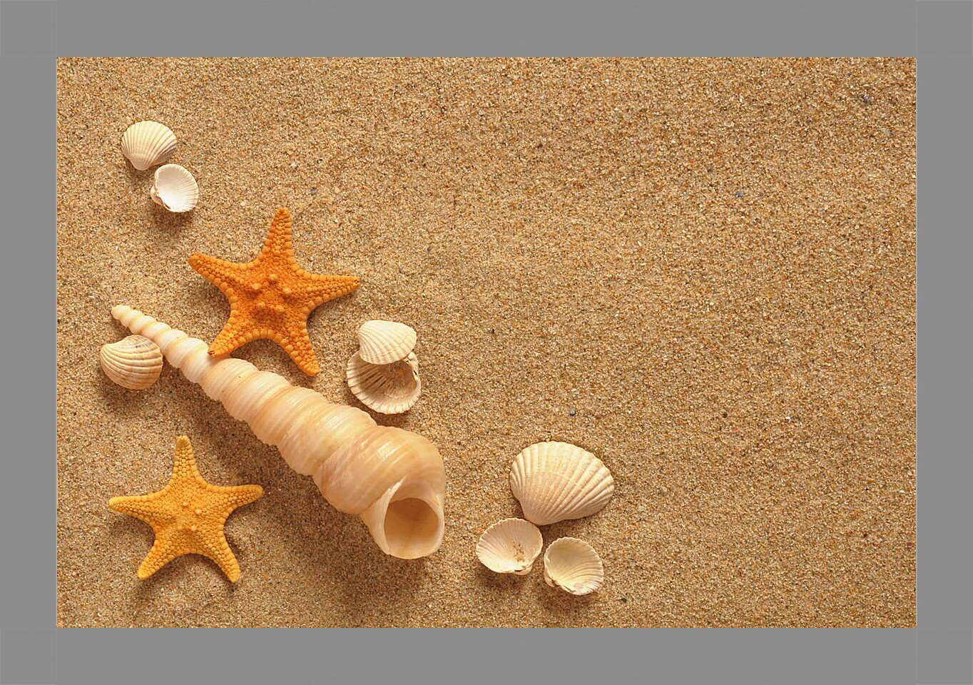 Картина в раме - Ракушки и звезды на песке
