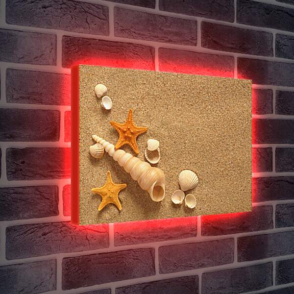 Лайтбокс световая панель - Ракушки и звезды на песке
