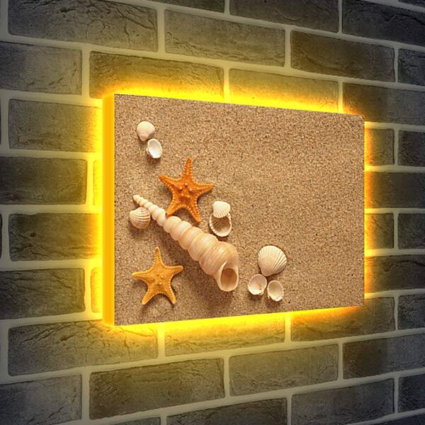 Лайтбокс световая панель - Ракушки и звезды на песке
