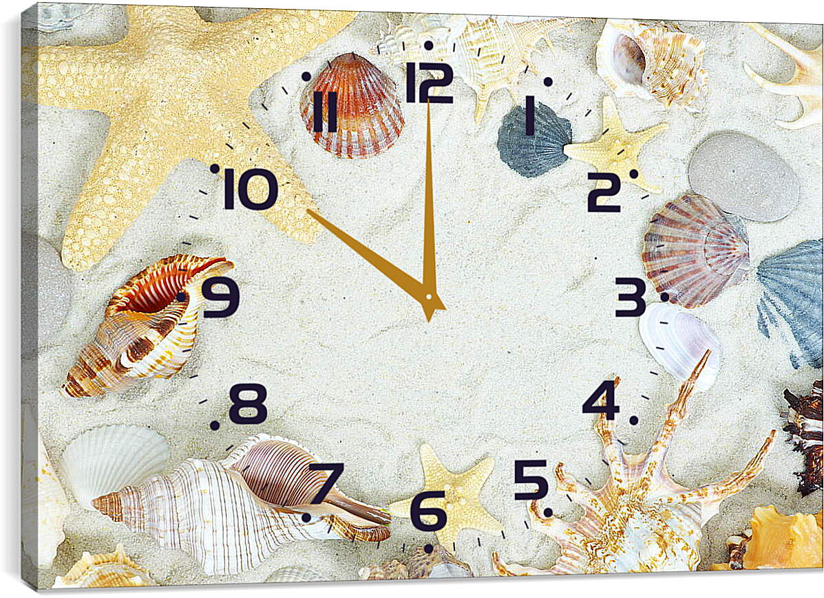 Часы картина - Много ракушек на песке
