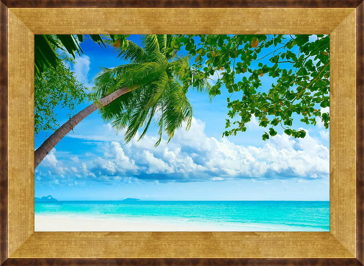 Картина в раме - Зеленая пальма над морем
