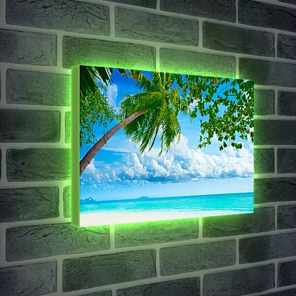 Лайтбокс световая панель - Зеленая пальма над морем
