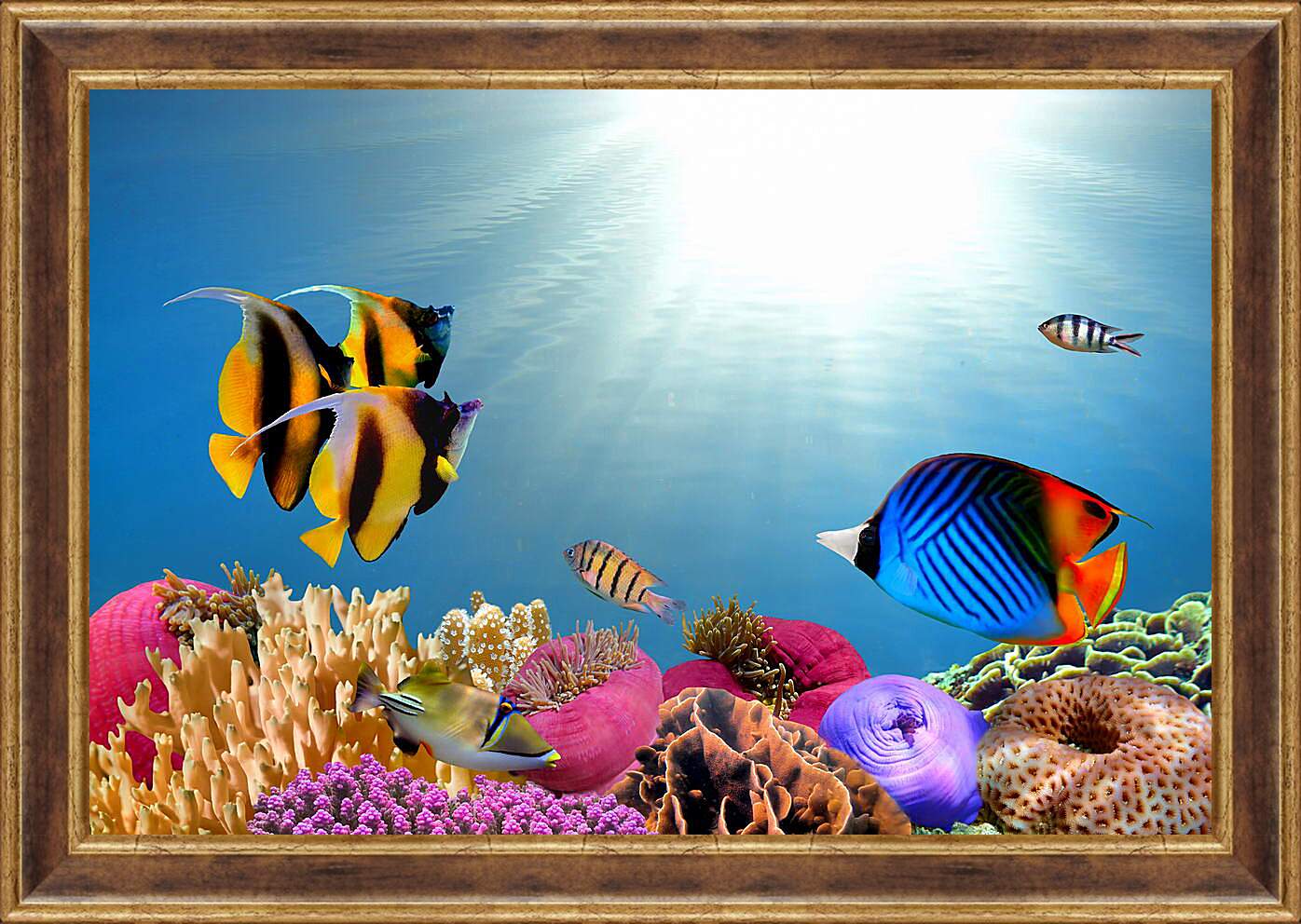 Картина в раме - Полосатые рыбки
