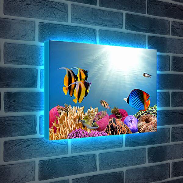Лайтбокс световая панель - Полосатые рыбки

