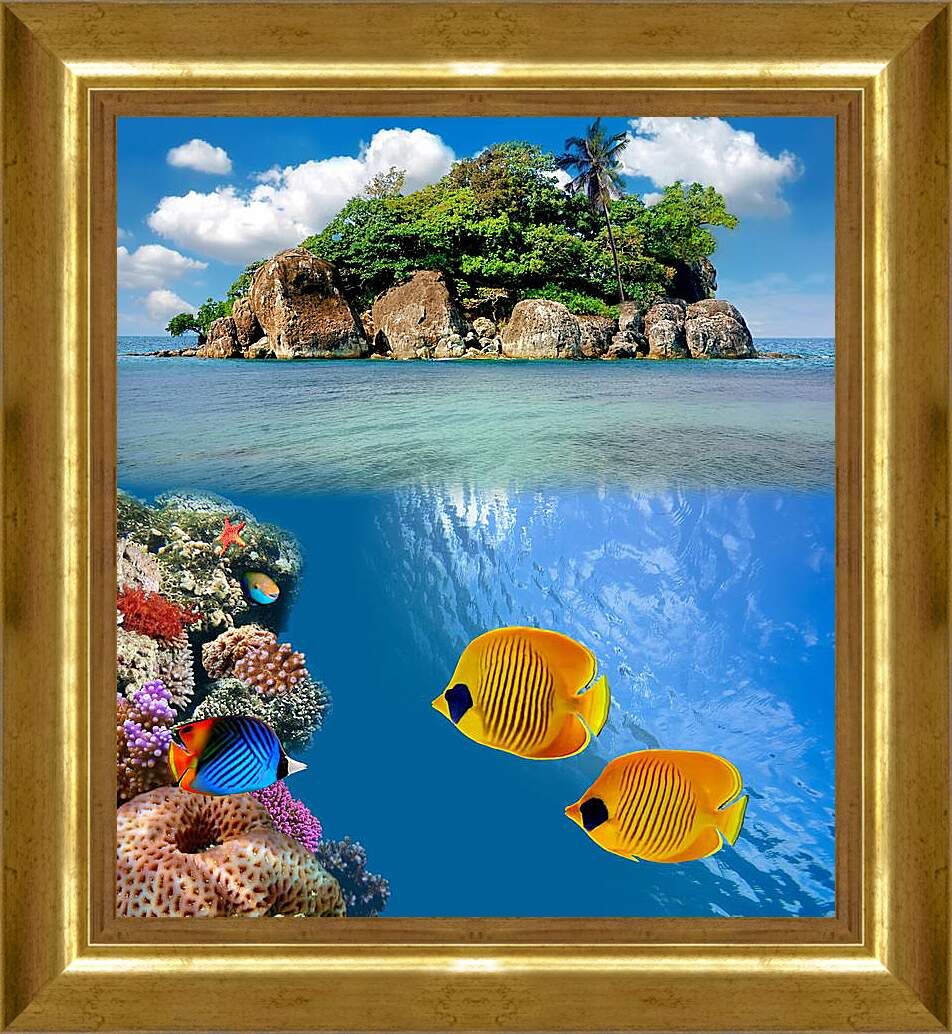 Картина в раме - Две жолтые рыбки
