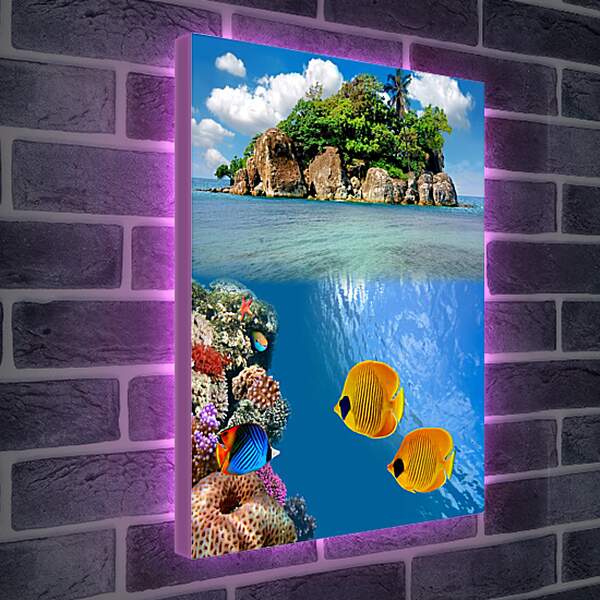 Лайтбокс световая панель - Две жолтые рыбки
