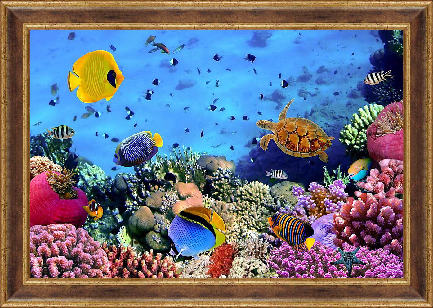 Картина в раме - Много Рыб
