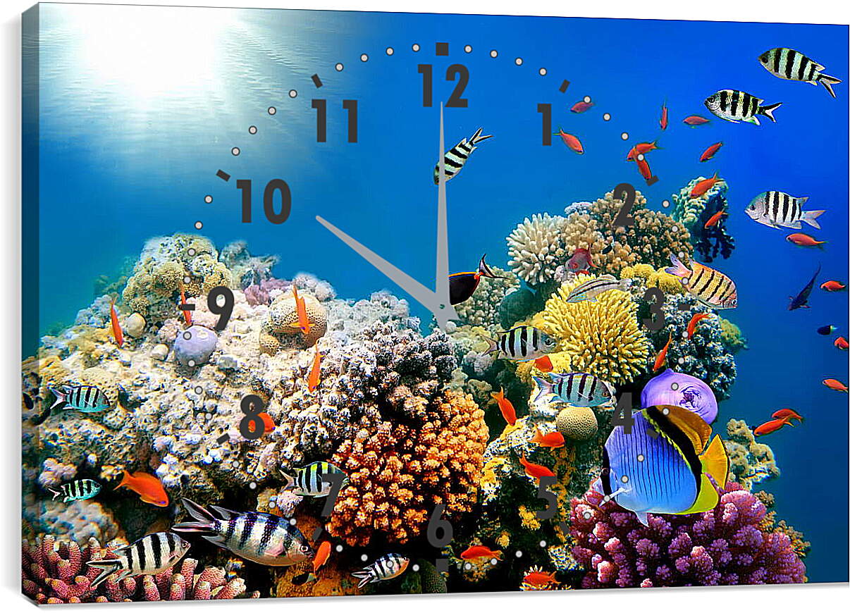 Часы картина - Короллы и рыбы
