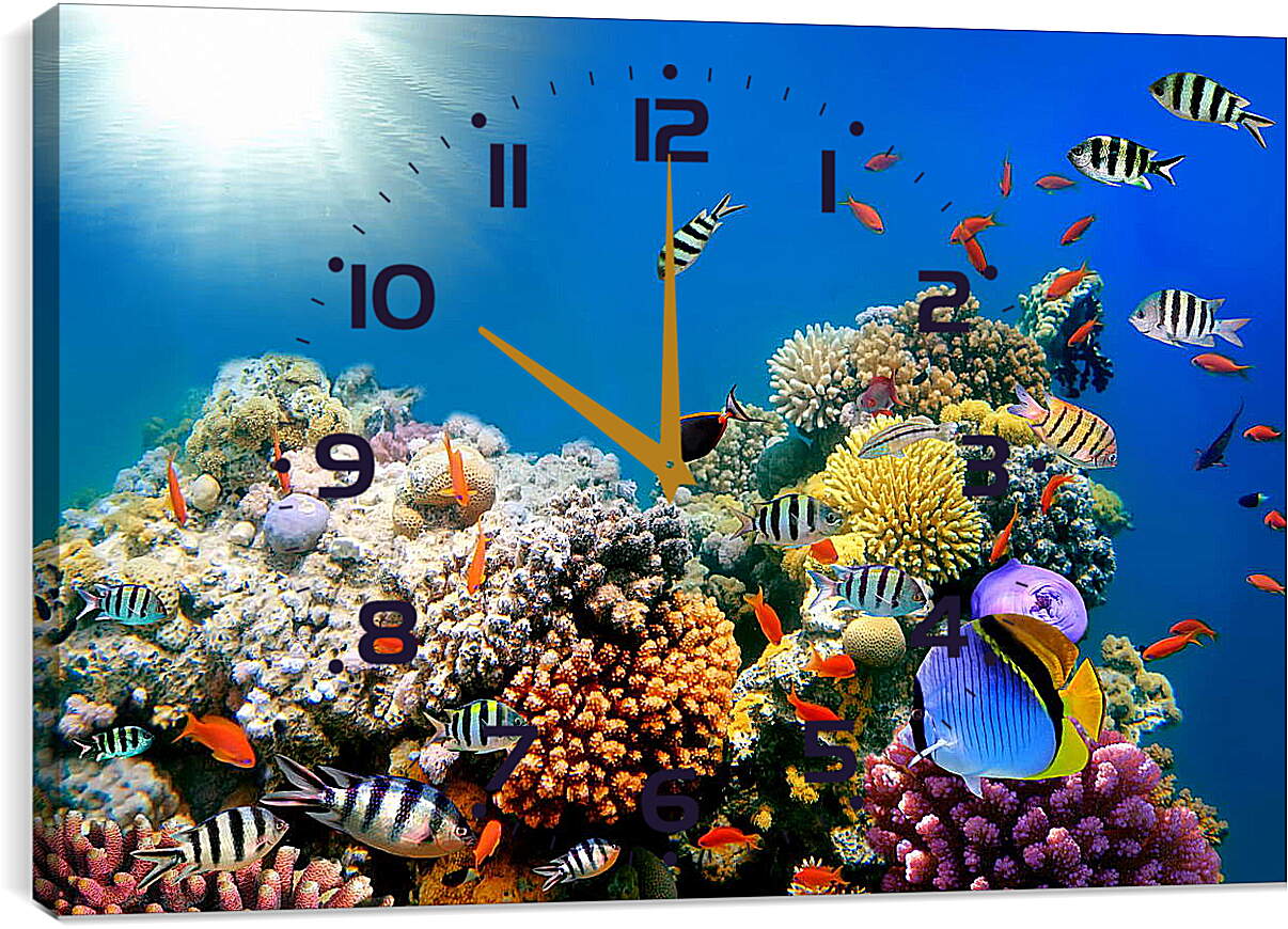 Часы картина - Короллы и рыбы
