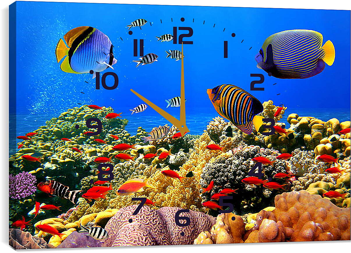 Часы картина - Красные рыбки
