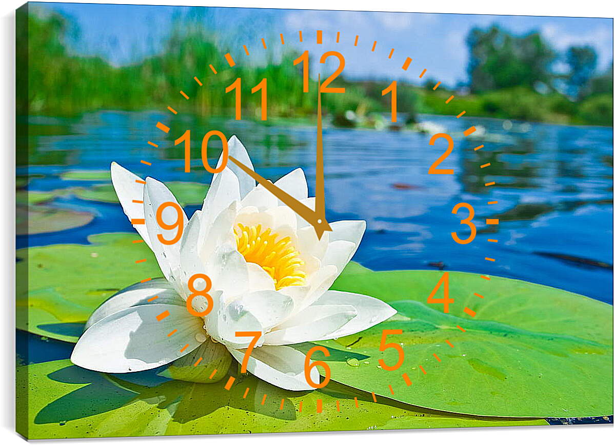 Часы картина - Красивая водяная лилия
