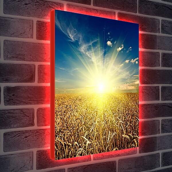 Лайтбокс световая панель - Восход солнца над полем
