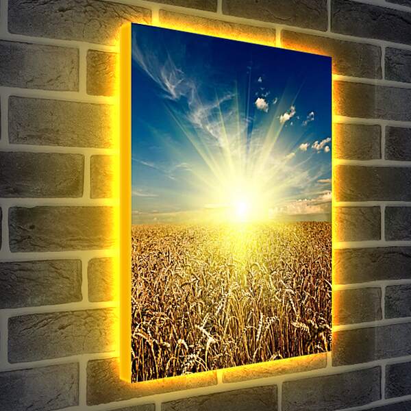 Лайтбокс световая панель - Восход солнца над полем
