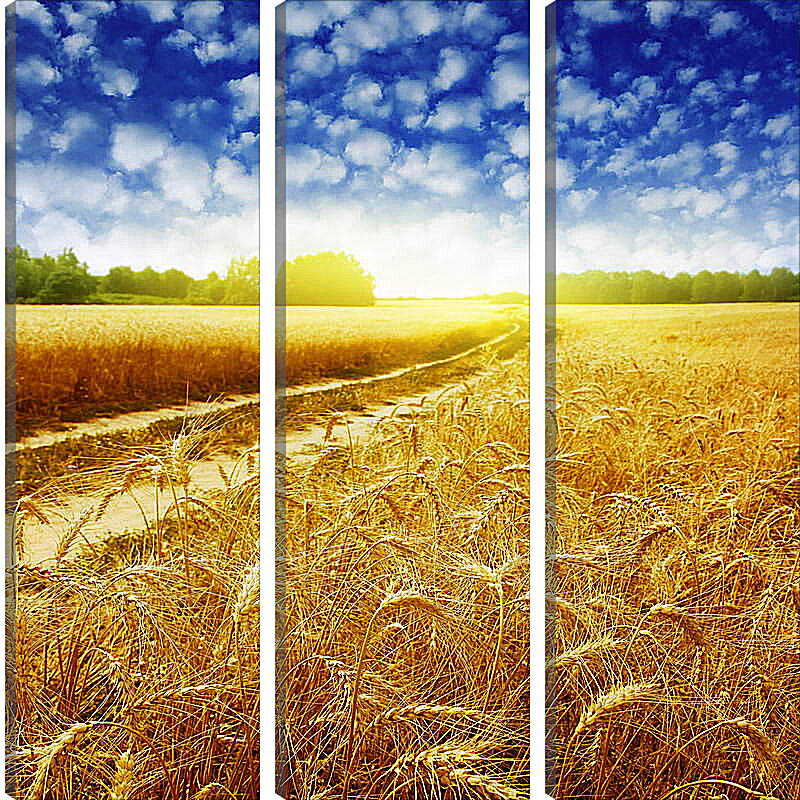 Модульная картина - Дорога в пшеничном поле
