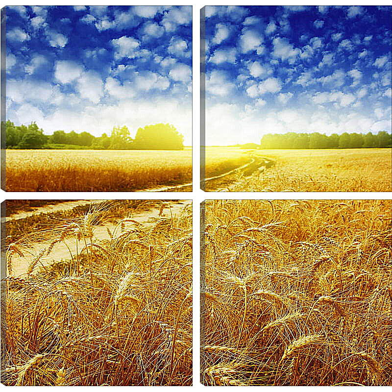 Модульная картина - Дорога в пшеничном поле
