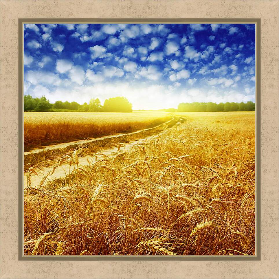 Картина в раме - Дорога в пшеничном поле
