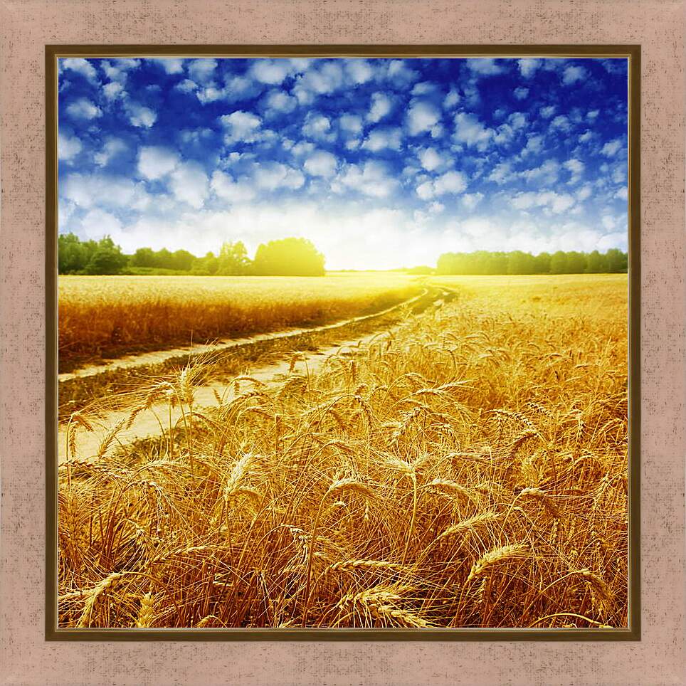 Картина в раме - Дорога в пшеничном поле

