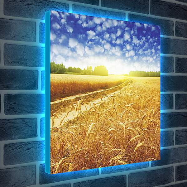 Лайтбокс световая панель - Дорога в пшеничном поле

