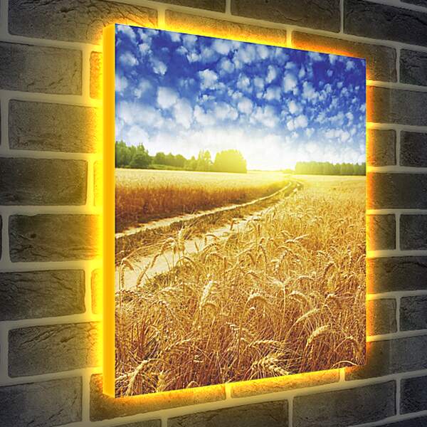 Лайтбокс световая панель - Дорога в пшеничном поле
