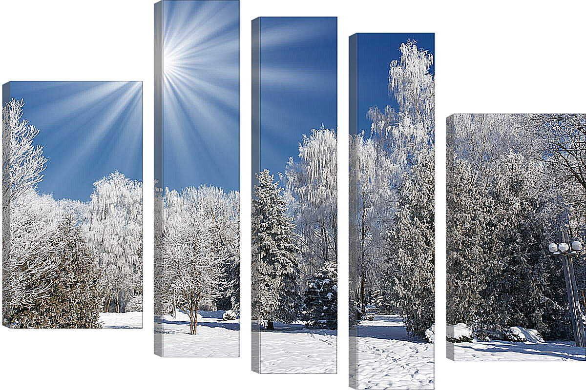 Модульная картина - Красивые деревья в снегу
