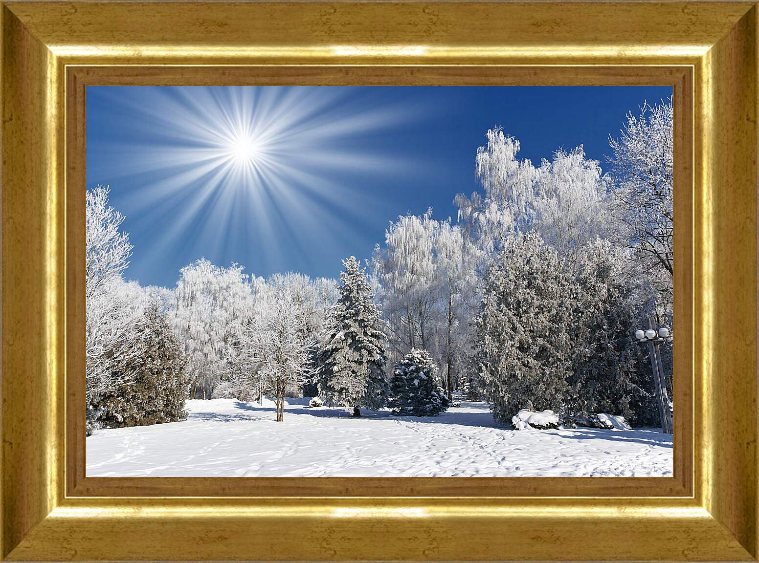 Картина в раме - Красивые деревья в снегу
