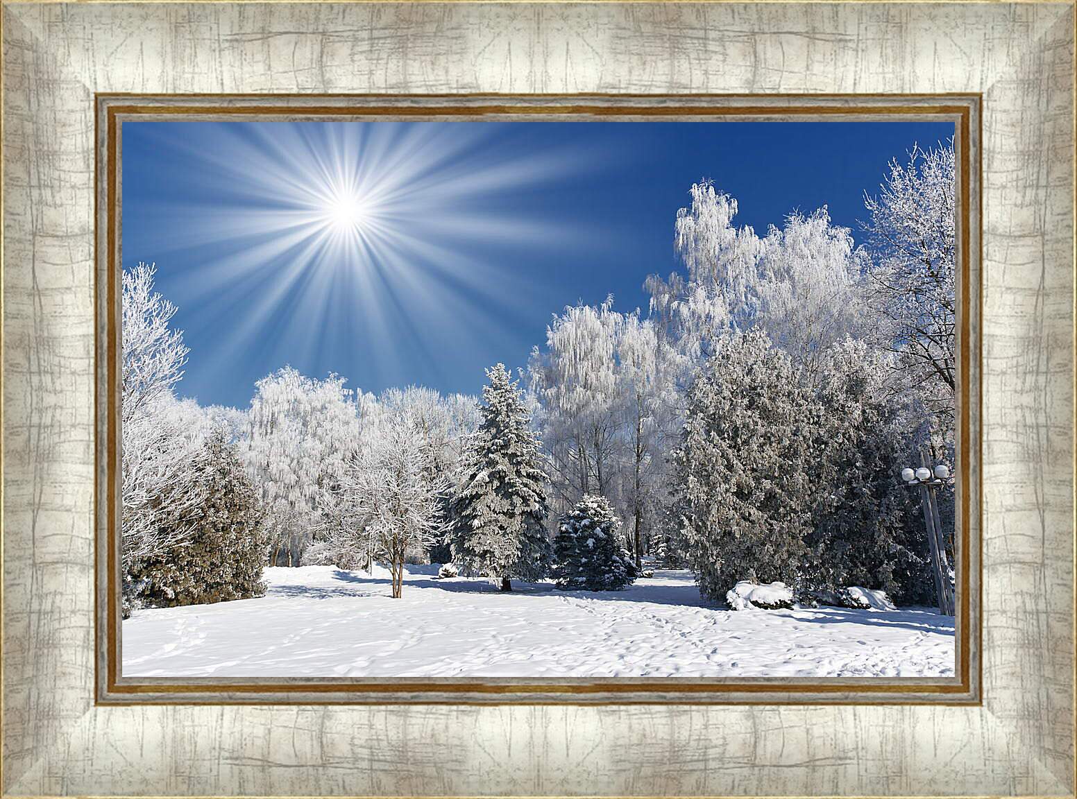 Картина в раме - Красивые деревья в снегу
