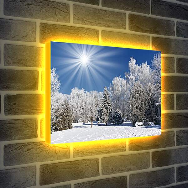 Лайтбокс световая панель - Красивые деревья в снегу
