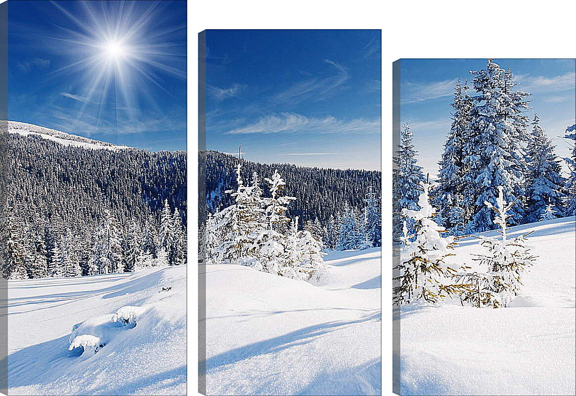 Модульная картина - Лес в снегу
