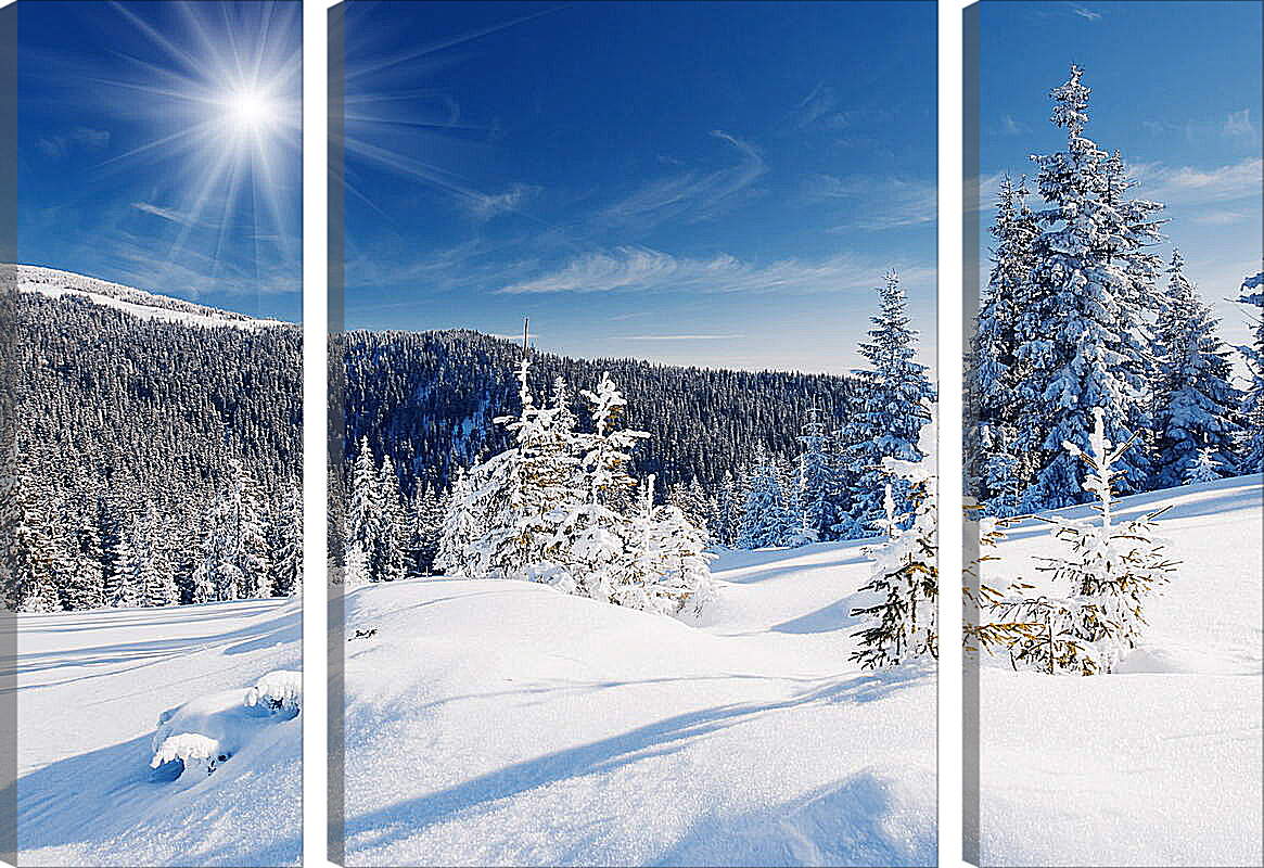 Модульная картина - Лес в снегу
