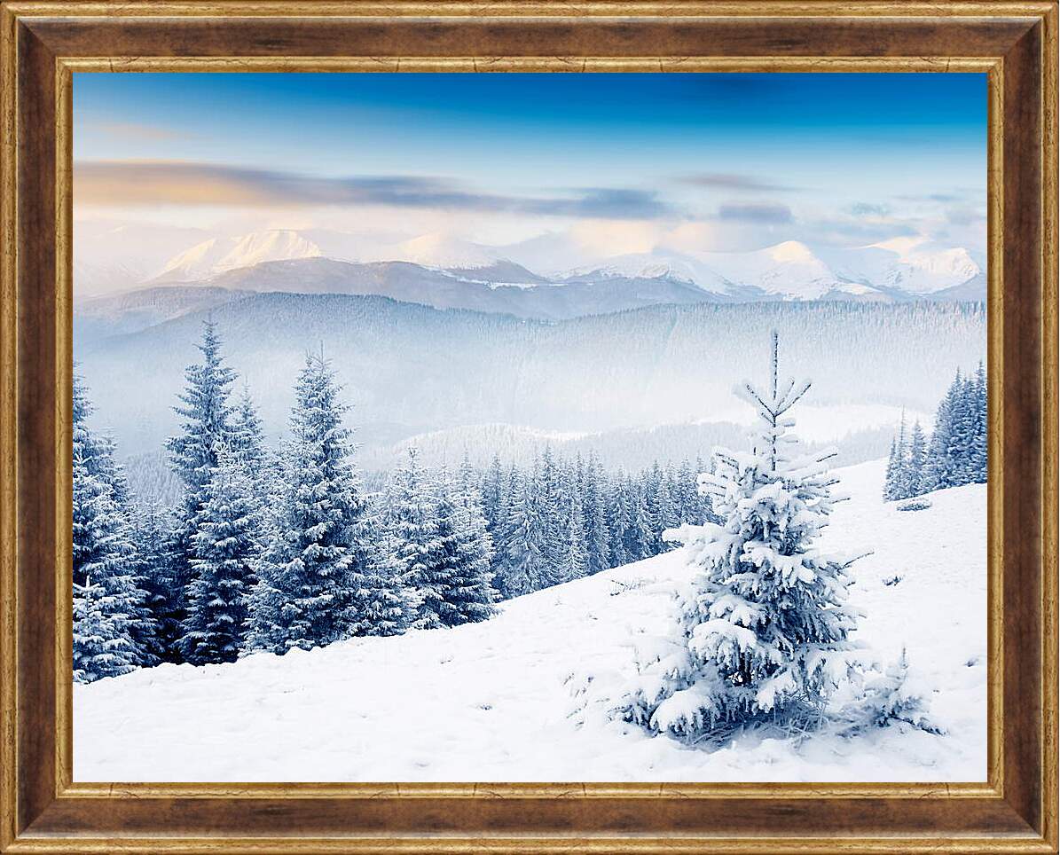 Картина в раме - Одинокая елочка в горах