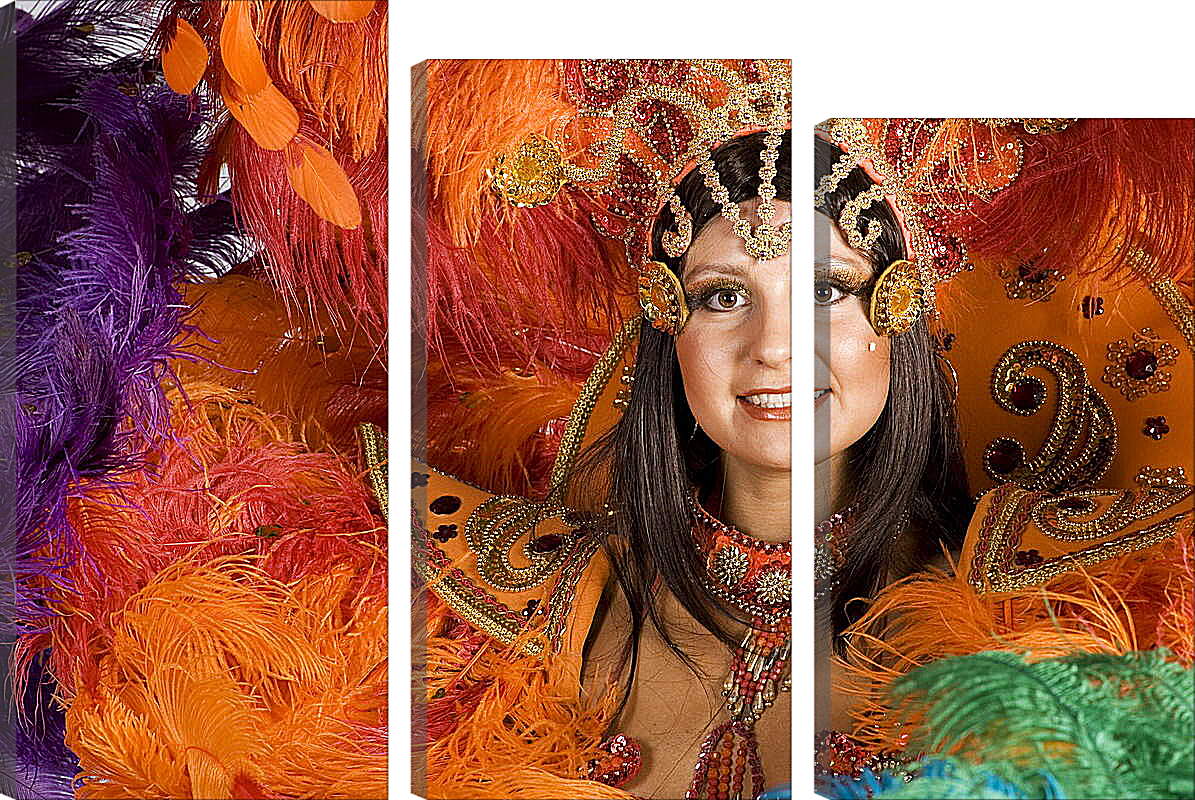 Модульная картина - Участница бразильского карнавала
