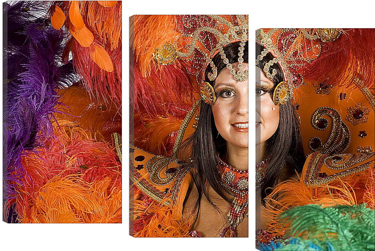 Модульная картина - Участница бразильского карнавала
